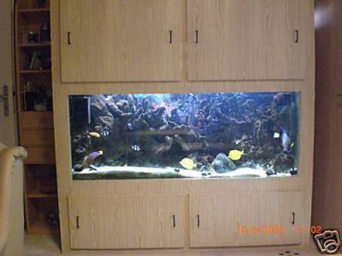 aquarium l schaut unbedingt rein