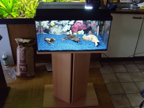  l komplett unterschrank co bio filter neu usw