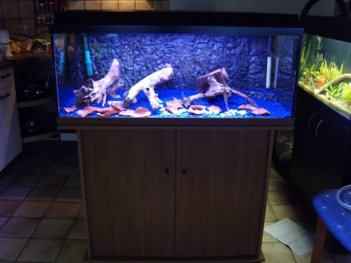 komplett aquarium x
