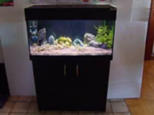 komplett aquarium halbes jahr alt