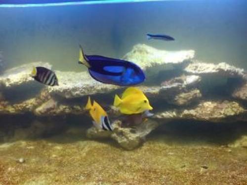 dringend wegen umzug top preis