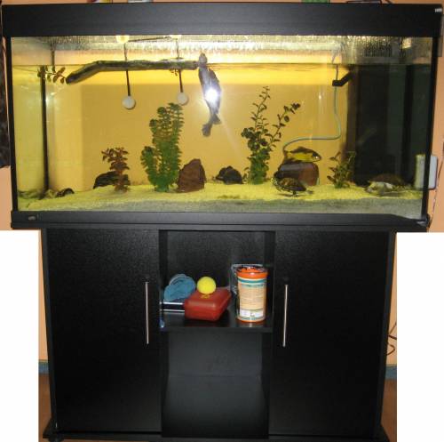 rio juwel l aquarium mit orginal zubeh�r