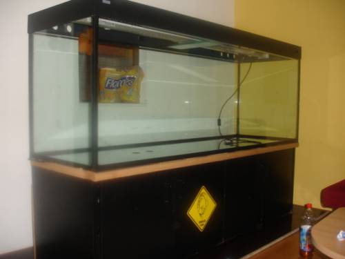 gro�es aquarium l abzugeben