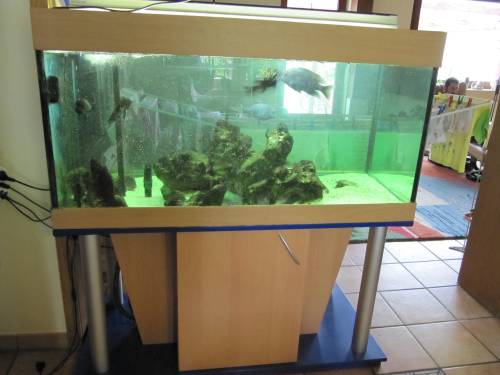 aquarium mp raumteiler
