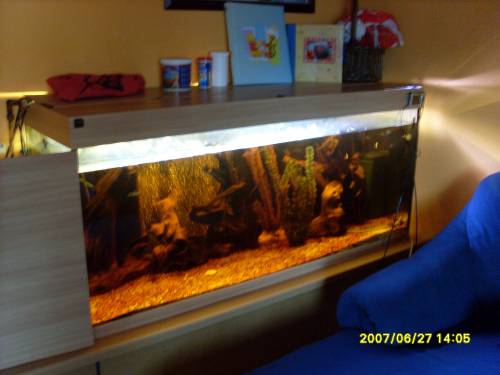 hallo verkaufe meine aquarium lieter mit zubeh�r