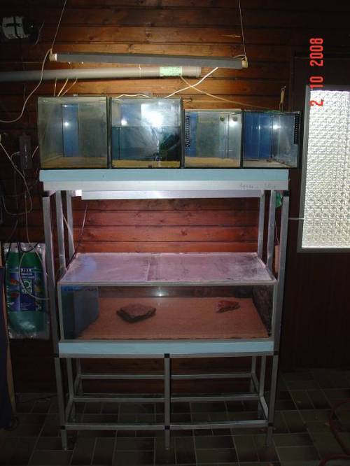 zuchtregal mit becken