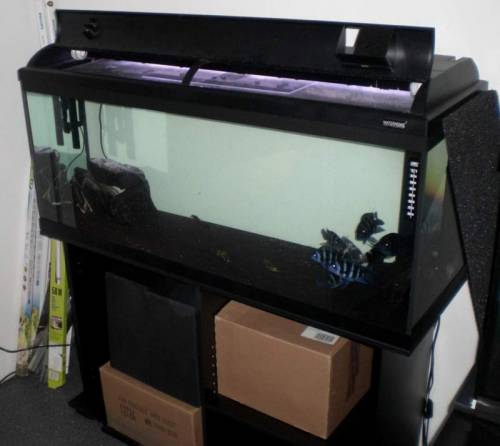 aquarium cmx cm inkl schrank abdeckung