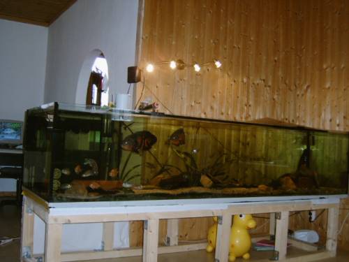 biete aquarium l b h