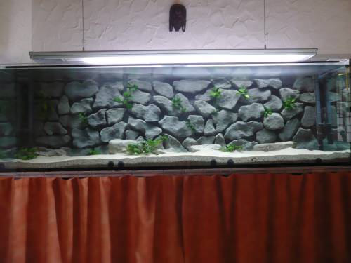komplettaquarium mit rckwand malawi leuchte eheim