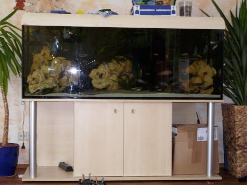 aquarium x cm liter