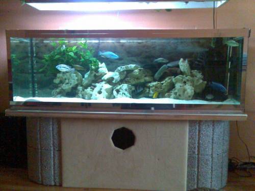 sch�nes aquarium mit allem drum und dran