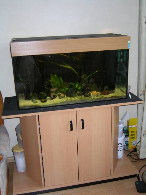 juwel aquarium mit unterschrank zu verkaufen