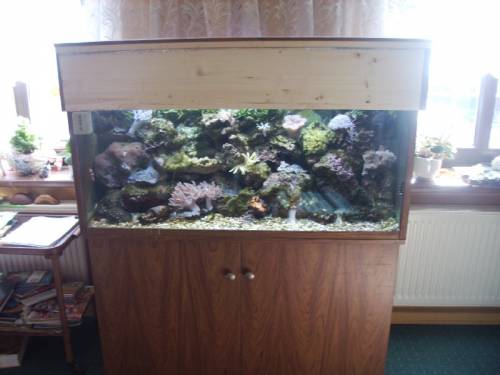 meerwasserauarium l mit unterschrank und zubeh�r