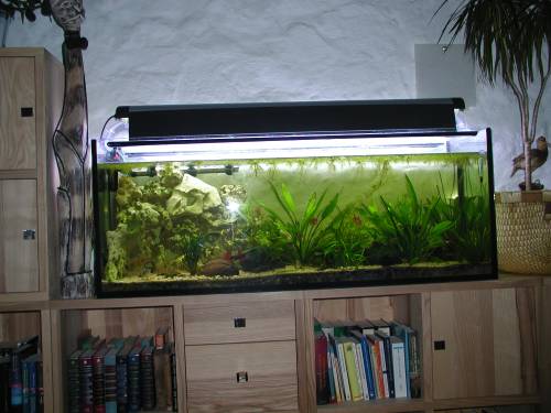  l aquarium mit allem zubeh�r