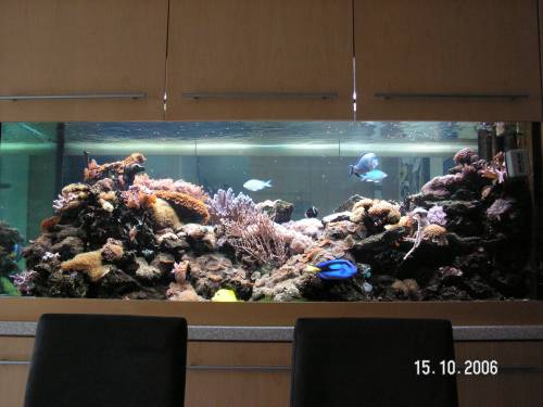 aufl�sung liter becken hobbyaufgabe alles muss weg