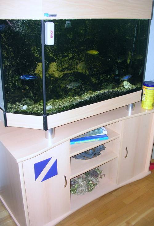 aquarium mit sehr viel zubeh�r zu verkaufen